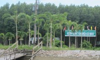 Cách chức giám đốc, phó giám đốc vườn quốc gia Mũi Cà Mau