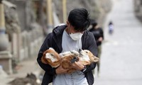 Gen Z nói gì khi Hội An sẽ là thành phố đầu tiên ở Việt Nam không tiêu thụ thịt chó, mèo?