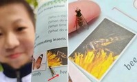 Nam sinh lớp 7 ở Trung Quốc nhận ra ảnh con ong trong sách giáo khoa thực ra là con ruồi
