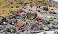 Tảng đá cổ ở Nhật được cho là “nhốt cáo chín đuôi” đột ngột vỡ đôi khiến mọi người lo lắng
