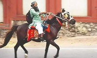Xăng thì tăng giá mà nhà lại xa cơ quan, một người Ấn Độ cưỡi ngựa đi làm cho đỡ tốn tiền