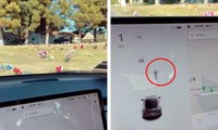 Chủ xe Tesla phát hoảng khi xe báo có người đi bộ ở gần dù lái qua nghĩa trang không có ai
