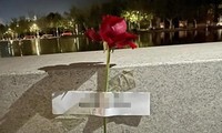 “Hoa hồng khẩn cấp” được đính khắp sân một trường đại học ở Trung Quốc, netizen khen ngợi