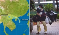 Bão Mulan trên biển Đông: Hồng Kông và Quảng Châu (Trung Quốc) có những cảnh báo gì?