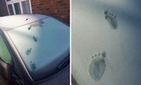 Những dấu chân bí ẩn xuất hiện ở lớp băng giá phủ trên xe ô tô, cư dân mạng cũng “bó tay“