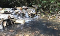 Công an Hoà Bình, Hà Nội vào cuộc vụ nước sạch Sông Đà bị nhiễm dầu