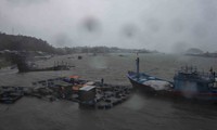 Tại các xã ven biển Quảng Ngãi mưa to và gió giật mạnh cấp 7 cấp 8 - ảnh L.V.C