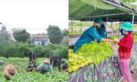 Giãn cách không cách lòng: Đắk Lắk gửi 13 tấn rau, y bác sĩ Nghệ An sẵn sàng hỗ trợ TP.HCM