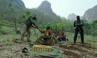 Phim Mỹ về chiến tranh Việt Nam có Ngô Thanh Vân đóng được vinh danh 