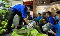 Thanh niên tình nguyện bốc dỡ, sắp xếp nông sản của người dân Hải Dương tại Hà Nội.