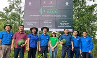Bí thư T.Ư Đoàn Nguyễn Tường Lâm (thứ 4, từ trái sang) cùng các đại biểu tham gia trồng cây tre tại xã Dế Xu Phình