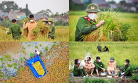 Khoảnh khắc ấm áp giữa mùa dịch: Lực lượng công an hỗ trợ bà con Bắc Giang thu hoạch lúa