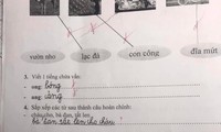 Học sinh lớp 1 làm bài sắp xếp câu tiếng Việt, đáp án của cô giáo khiến dân mạng tranh cãi
