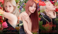 TWICE diện loạt váy đen đắt giá ở ảnh teaser album mới nhưng vẫn bị netizen Hàn chê bai