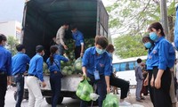 Tuổi trẻ Bắc Ninh chung tay “giải cứu” gần 6 tấn nông sản cho bà con Hải Dương