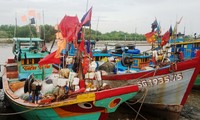 Ngư dân huyện Cần Giờ neo thuyền tại bến Cần Thạnh để tránh bão số 16.