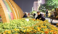 Thâu đêm thi công đường hoa Nguyễn Huệ phục vụ tết Nguyên đán