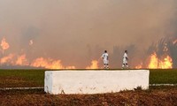 Đám cháy rừng Amazon bao vây sân vận động, cầu thủ bỏ bóng chạy thoát thân