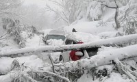 Pakistan: Hàng nghìn xe hơi mắc kẹt vì tuyết rơi dày, 22 người chết thảm