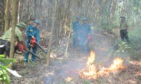 Chi cục Kiểm lâm TP Đà Nẵng vừa nâng mức cảnh báo cháy rừng lên mức báo động cao nhất (cấp V), đây là mức báo động rất nguy hiểm và có khả năng cháy lớn và lan tràn nhanh
