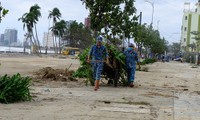 VIDEO: Thành phố ngổn ngang, người dân Đà Nẵng chung tay khắc phục hậu quả sau bão số 9