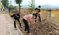 Chào mừng Tháng Thanh niên, Gen Z rủ nhau trồng cây xanh, làm sạch khuôn viên trường học