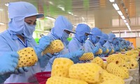 Theo dự báo, các loại trái cây chế biến là một trong những sản phẩm mà Trung Quốc có nhu cầu nhập nhiều thời gian tới. 