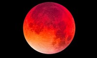 Không thể bỏ lỡ: Hiện tượng thiên văn Siêu trăng máu sẽ diễn ra trong ngày mai 26/5