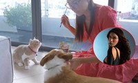 Ở nhà vẫn chill: Siêu mẫu Minh Tú làm vlog trổ tài nấu ăn, cắm hoa và học chơi chứng khoán