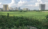 Khu đất dự án BV Đa khoa Quang Trung (quận Hoàng Mai) bị đề nghị thu hồi vì chậm triển khai gần 8 năm nay nhưng đến nay vẫn chưa thực hiện.