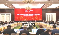 Hội nghị tổng kết quan chức cao cấp (CSOM), do Thứ trưởng thường trực Bộ Ngoại giao Việt Nam Bùi Thanh Sơn, Chủ tịch SOM APEC Việt Nam, chủ trì chính thức khai mạc, mở màn cho Tuần lễ cấp cao APEC. 