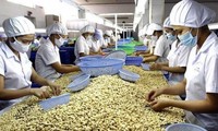 Doanh nghiệp có nguy cơ mất hàng trăm triệu USD nếu không giải quyết được vụ việc