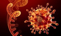 Nguy cơ cao biến chủng Omicron xâm nhập, Bộ trưởng Y tế yêu cầu tăng cường chống dịch