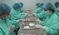Tín hiệu khả quan khi tiêm vắc-xin ngừa COVID-19 trên chuột tại Việt Nam