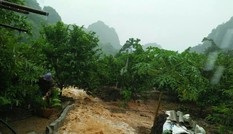 Hái na nguy hiểm trong mưa lũ