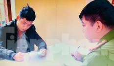 Lạng Sơn: Bắt giữ nhóm trộm trâu là những lái buôn trâu, bò