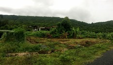 Công an vào cuộc việc ‘trùng khớp’ trong đấu giá khu đất 80.000m2 ở Côn Đảo