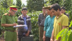 Kẻ chuyên trộm cắp và phá hoại sầu riêng, hồ tiêu sa lưới