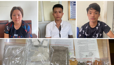 Bắt 'bà trùm' chuyên cung cấp ma túy cho quán bar, vũ trường