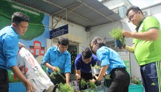 Sống xanh bắt đầu từ nơi làm việc