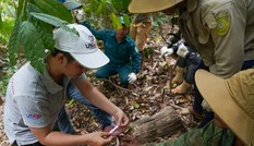 Sinh kế bền vững từ Trường Sơn Xanh