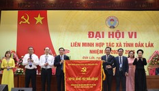 Hết trông chờ, ỷ lại, đưa hợp tác xã thành “đầu tàu” kinh tế tập thể