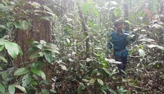 Máu vẫn đổ giữa thời bình