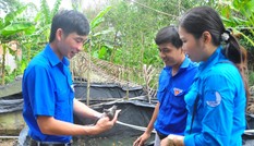 Bí thư Chi đoàn nuôi ếch giỏi, thu nhập trăm triệu