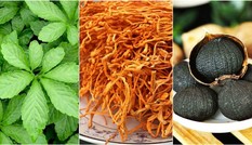 Lipotan - công thức vượt trội hỗ trợ cải thiện và ngăn ngừa biến chứng mỡ máu