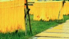 Làng miến hơn 400 năm ở Hà Nội lên truyền hình Mỹ