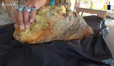 Vật thể bí ẩn trên bãi biển, nghi 'cục nôn' của cá voi trị giá 11,6 tỷ đồng
