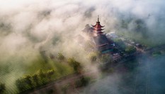 Sương giăng mờ ảo trên Biển Hồ chè ở Gia Lai
