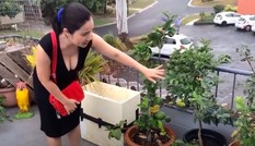 Không gian nhà của MC Cát Tường ở Australia