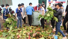 Bão số 13 sắp đổ bộ, sinh viên Đà Nẵng, Huế lại nghỉ học